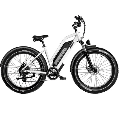 Bicicleta elétrica Himiway D3 Cruiser Step-Thru - 250W de potência | Bateria de 15Ah | Velocidade de 15.5 mph | Alcance de 60mi