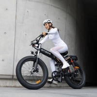 ENGWE X24 Bicicleta Eléctrica Dobrável - 1000W / 29.2Ah / 93mi [150km] Alcance / 31mph [50kph] Velocidade