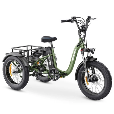 Triciclo Elétrico Hidoes ET1 - Potência 750W | Bateria 20Ah | Velocidade 25mph | Alcance 59mi