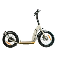 Element Bondi Electric Trotinete eléctrica | Desempenho urbano | 500W (800W de pico) de potência | 22mph de velocidade | Bateria de 14Ah | 30mi de alcance | Design de 20 polegadas | Transporte urbano de qualidade superior