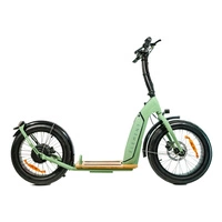 Element Bondi Electric Trotinete eléctrica | Desempenho urbano | 500W (800W de pico) de potência | 22mph de velocidade | Bateria de 14Ah | 30mi de alcance | Design de 20 polegadas | Transporte urbano de qualidade superior