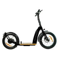 Element Bondi Electric Trotinete eléctrica | Desempenho urbano | 500W (800W de pico) de potência | 22mph de velocidade | Bateria de 14Ah | 30mi de alcance | Design de 20 polegadas | Transporte urbano de qualidade superior