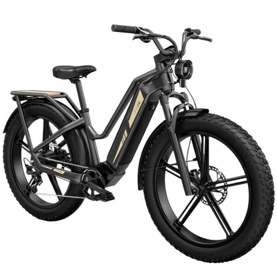 Bicicleta eléctrica Fiido Titan - 750W Potência | Bateria 14.5Ah | Velocidade 28mph | Alcance 84mi
