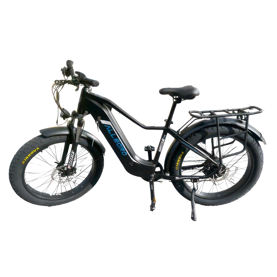 Allegro Huricane Ebike 750W 48V 20Ah Travão Hidráulico Bicicleta Eléctrica de Longo Alcance