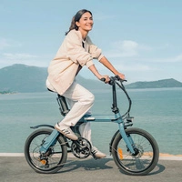 Bicicleta eléctrica dobrável Fiido D11 - Potência 250W | Bateria 11.6Ah | Velocidade 15.5mph | Alcance 62mi