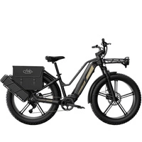 Bicicleta eléctrica Fiido Titan - 750W Potência | Bateria 14.5Ah | Velocidade 28mph | Alcance 248mi