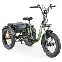 Triciclo Elétrico Hidoes ET1 - Potência 750W | Bateria 20Ah | Velocidade 25mph | Alcance 59mi