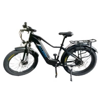 Allegro Huricane Ebike 750W 48V 20Ah Travão Hidráulico Bicicleta Eléctrica de Longo Alcance